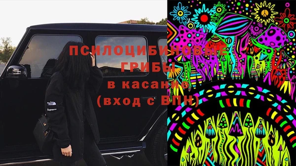 мдпв Армянск