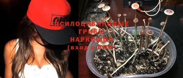 амф Баксан
